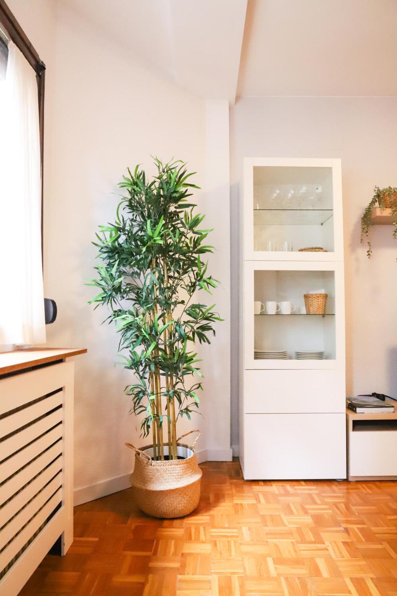 Casa Aspe Jaca Appartement Buitenkant foto